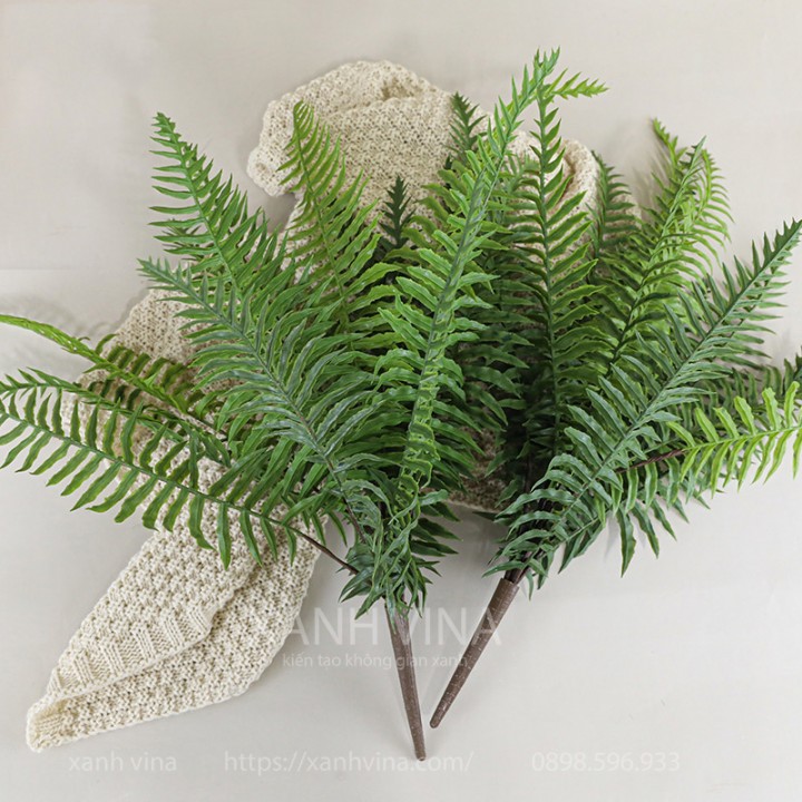 Cây giả dương xỉ hoàng đế